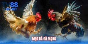 meo-da-ga-mang
