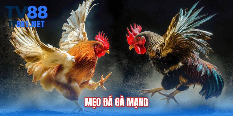 meo-da-ga-mang