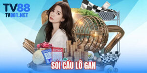 soi-cau-lo-gan